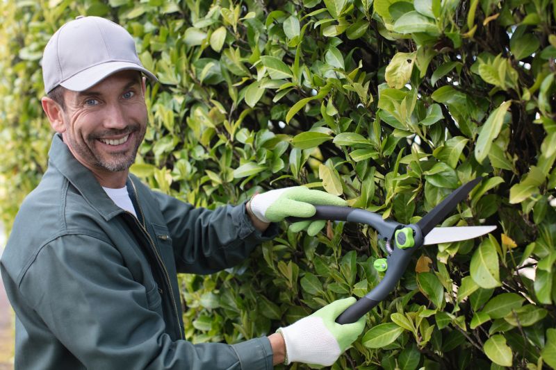 Hedge Trimming